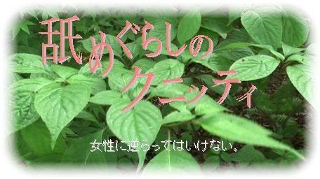 クニッティ